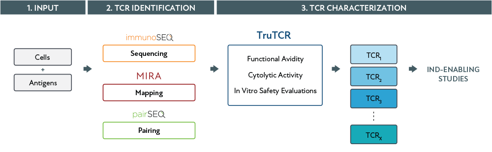 truTCR_diagram truTCR_diagram