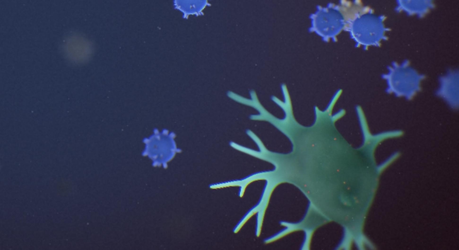 Image of cells