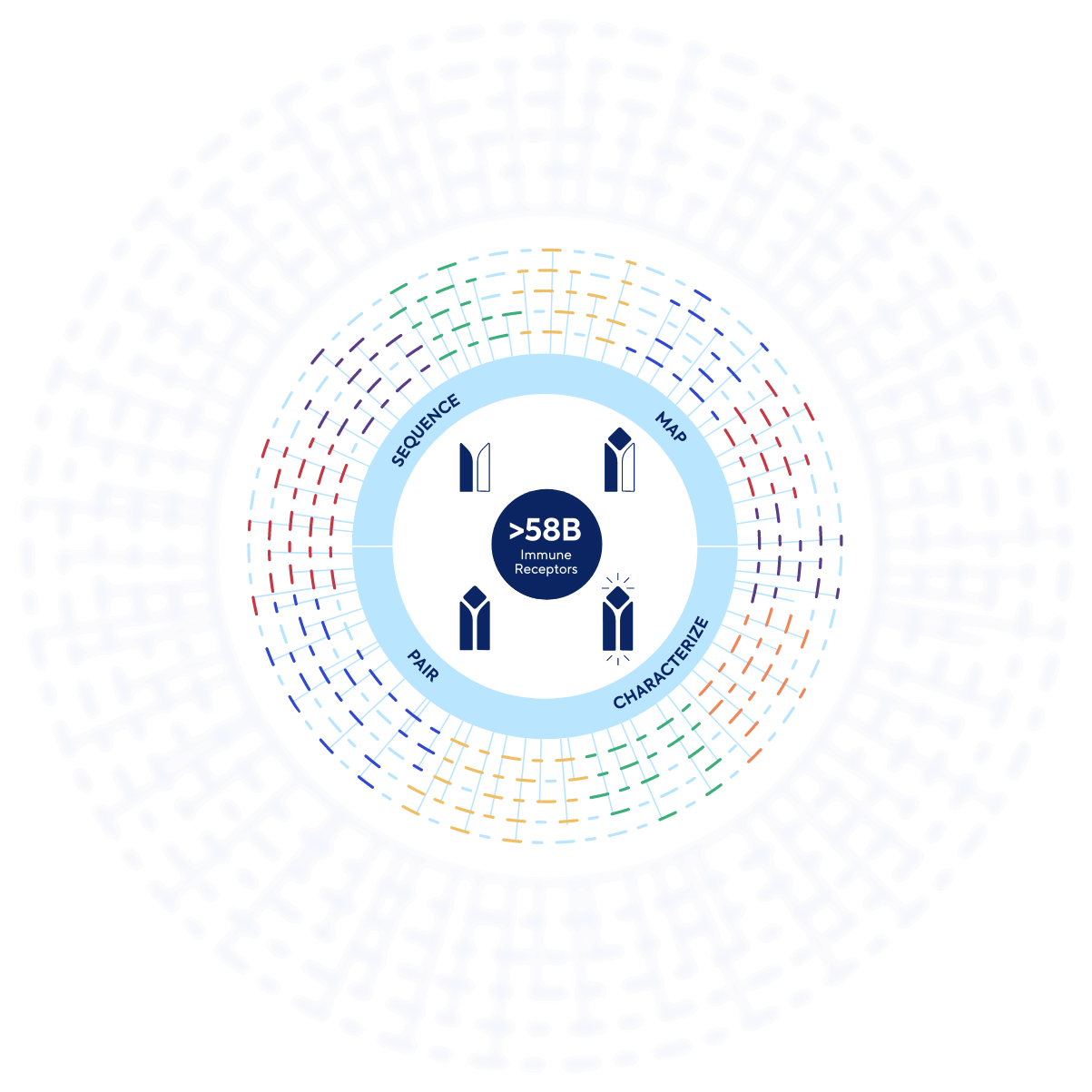 second-slide