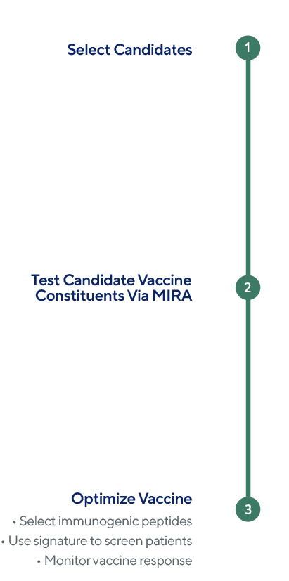 Graphic showing the vaccine workflow. Step one candidates are selected. Step 2 test candidate vaccine constituents via MIRA. Step 3 Optimize Vaccine which includes selecting immunogenic peptides, use signature to screen patients and monitoring vaccine response.