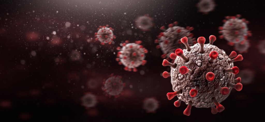 Image of COVID cells