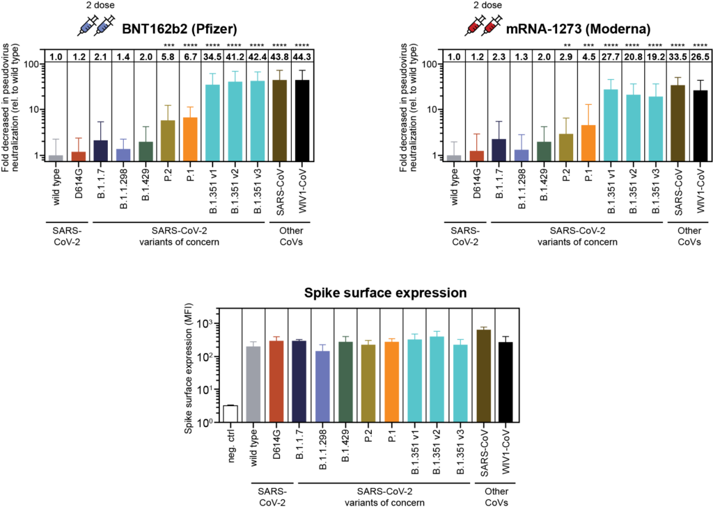 Charts showing SARS-CoV-2 variants escape neutralization by vaccine-induced humoral immunity for Pfizer and Moderna