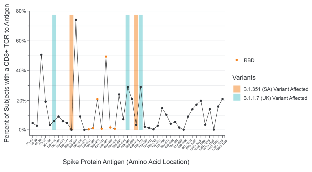 Chart showing Vaccine-induced CD8+ T-cell Responses to Spike Protein Antigens
