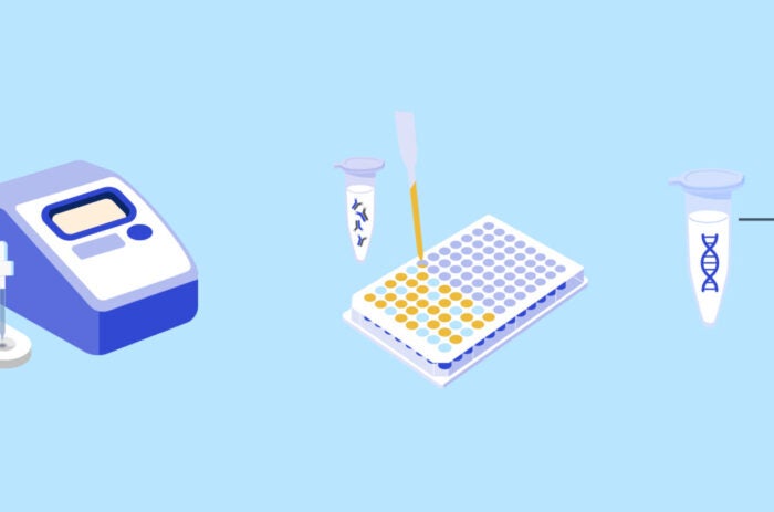 Molecular Laboratory Operations: The Heartbeat of Adaptive