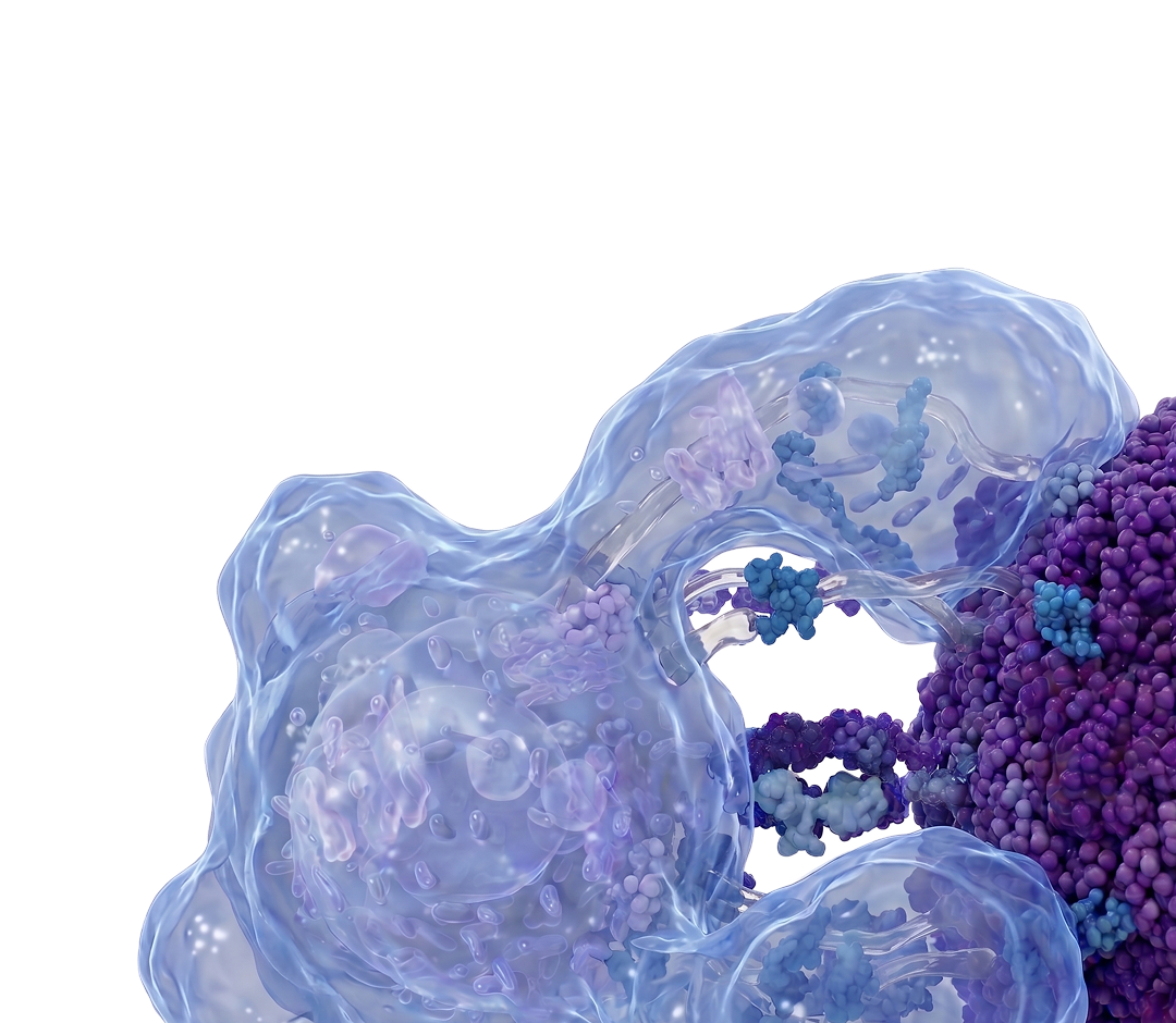 Baseimmune Immune Medicine Platform - Adaptive Biotech